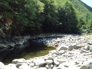  Image name: fiume2.jpg 
 width: 320 pixel 
 height: 240 pixel 
 Size: 30843 bytes 
 Click to enlarge 